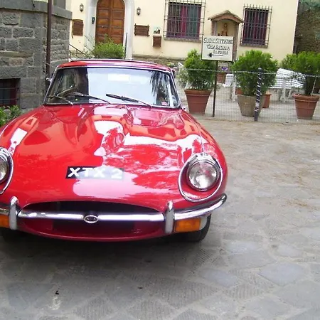 Casa Betania 哥尔顿