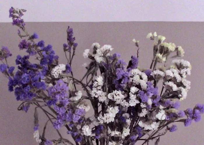 Casa Betania Отель Кортона